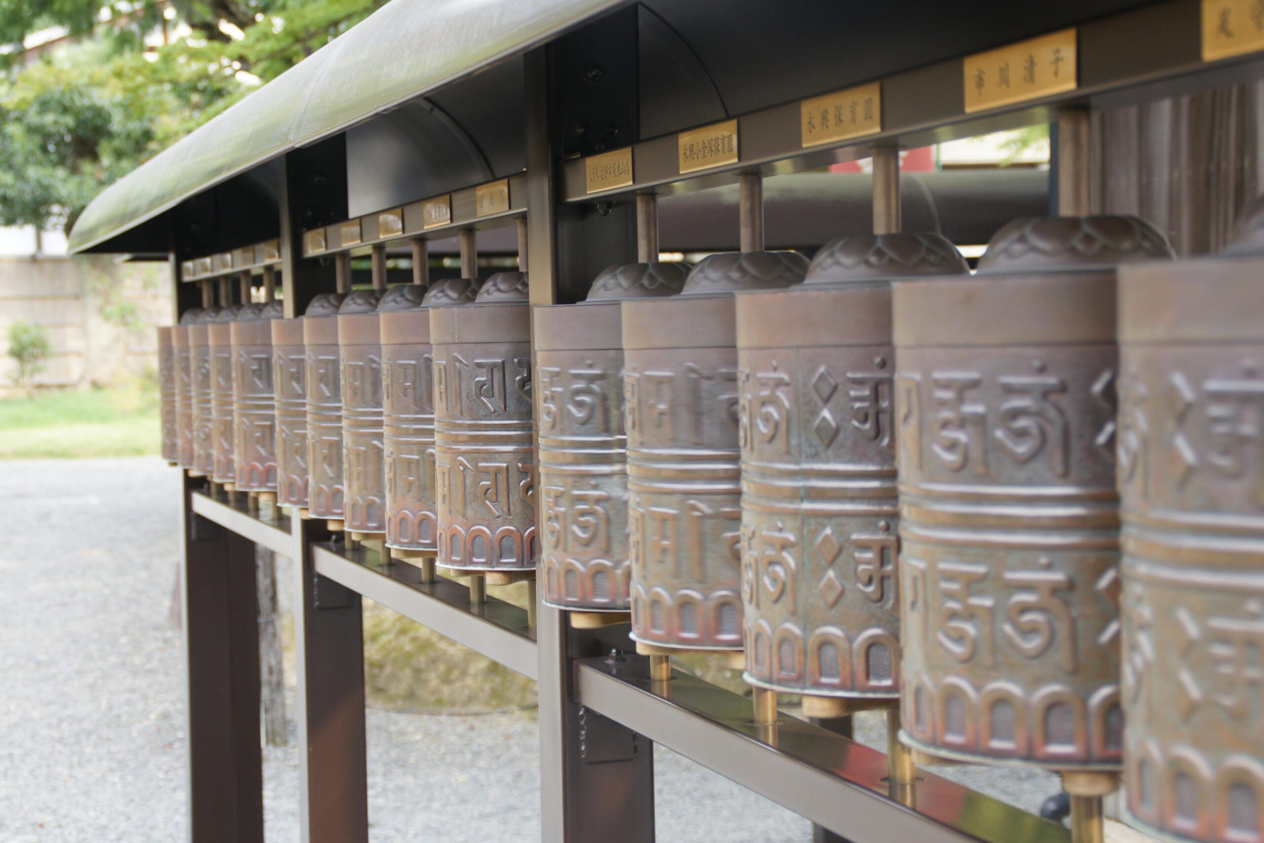 SONY DSC